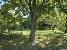 Działka rolno-budowlana Stary Zamość