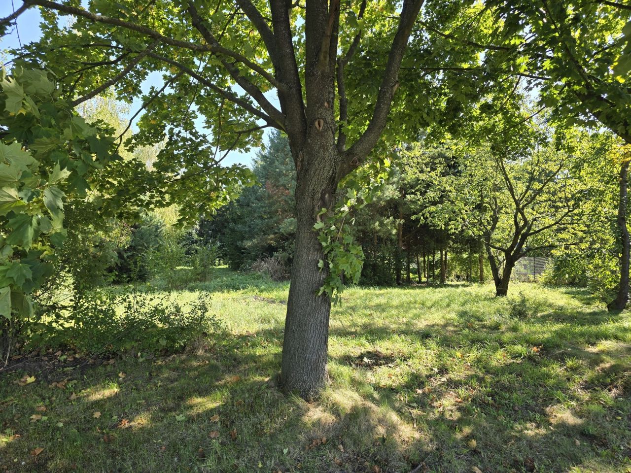 Działka rolno-budowlana Stary Zamość