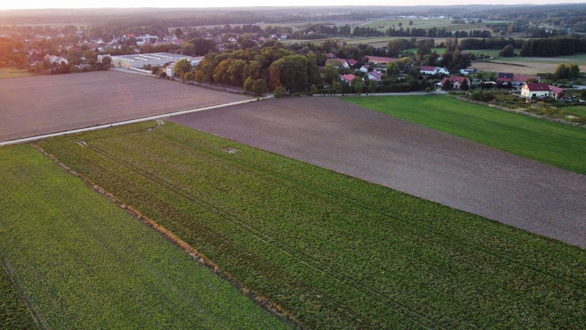Działka budowlana Golędzinów. Zdjęcie 2