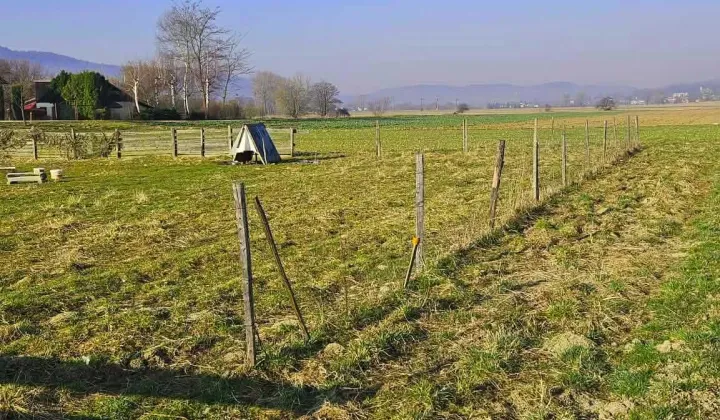 Działka budowlana Kalembina