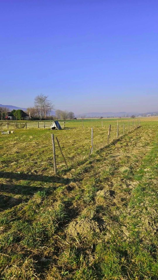 Działka budowlana Kalembina. Zdjęcie 1