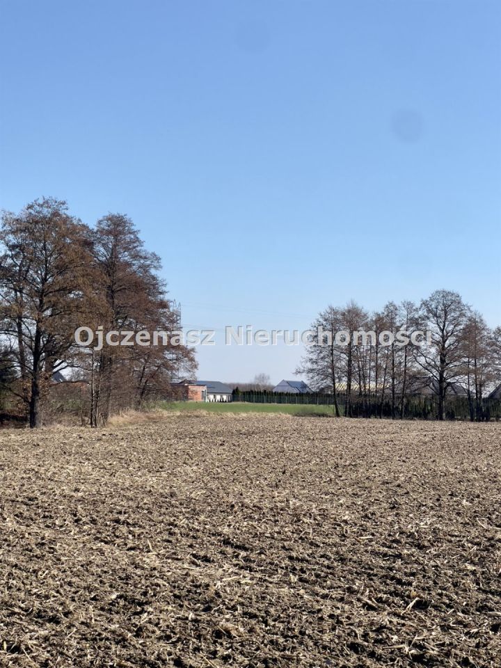 Działka budowlana Borówno. Zdjęcie 2