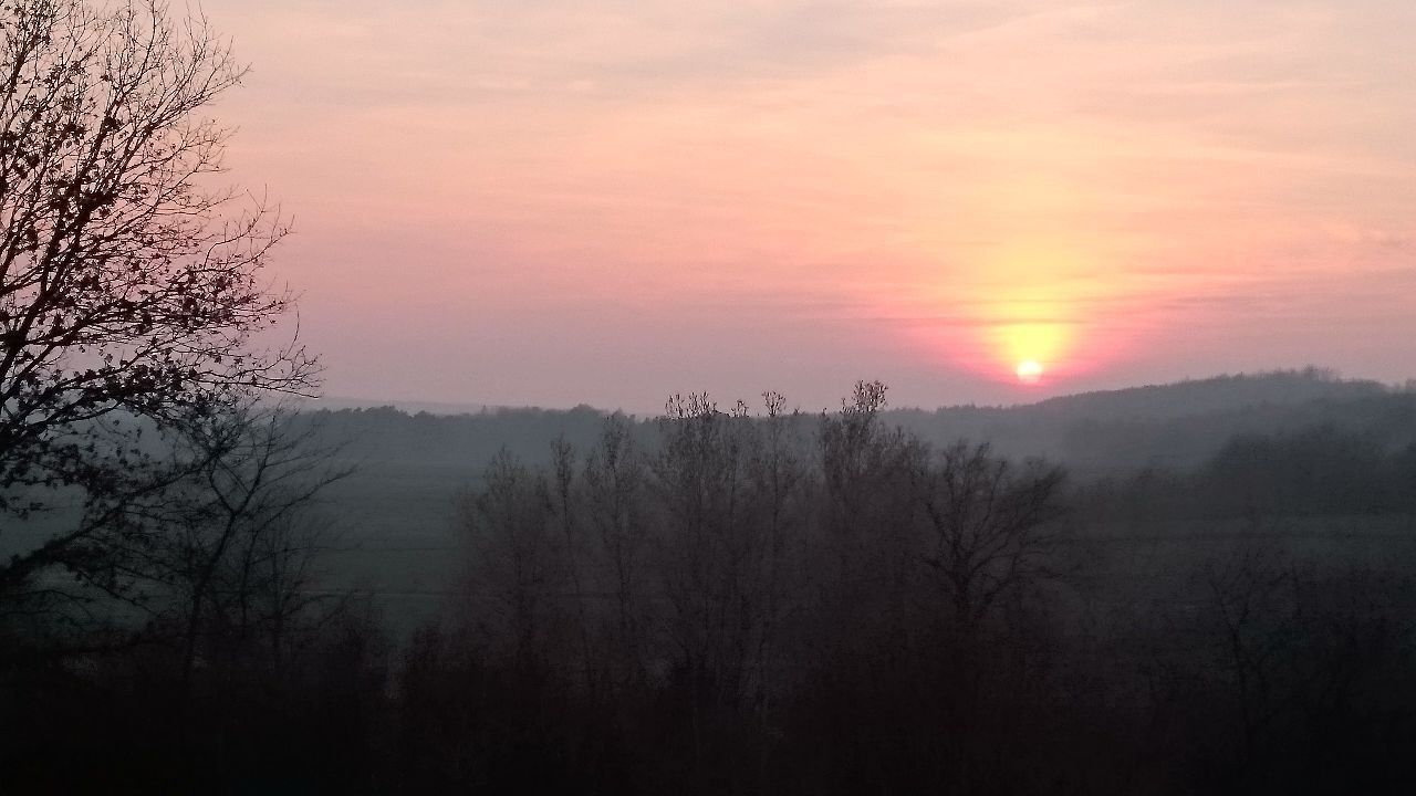 Działka rolna Wojsławice. Zdjęcie 6