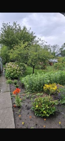 Działka rod Gdańsk Stogi, ul. Ugory. Zdjęcie 1