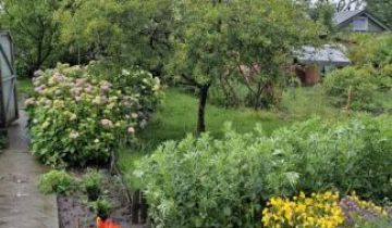 Działka rod Gdańsk Stogi, ul. Ugory