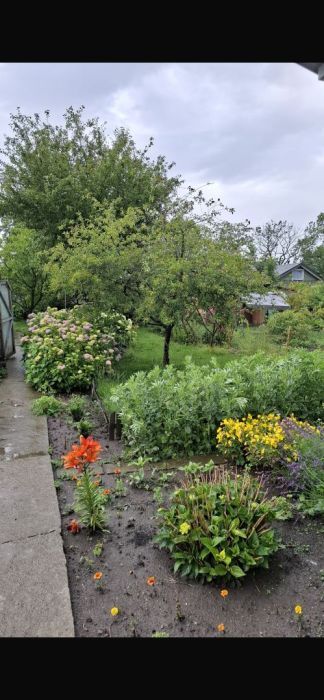 Działka rod Gdańsk Stogi, ul. Ugory