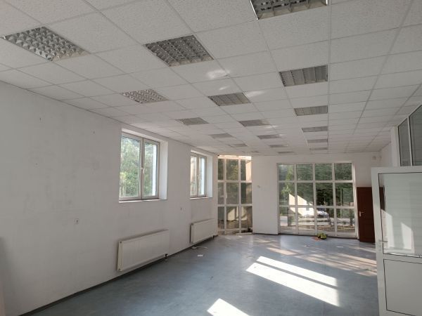 Hala/magazyn Przeźmierowo. Zdjęcie 3