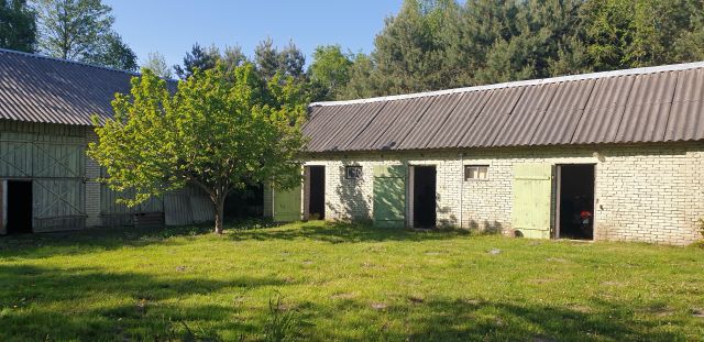 siedlisko, 3 pokoje Gródek Szlachecki. Zdjęcie 6
