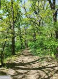 Działka budowlana Przeźmierowo, ul. Południowa. Zdjęcie 4