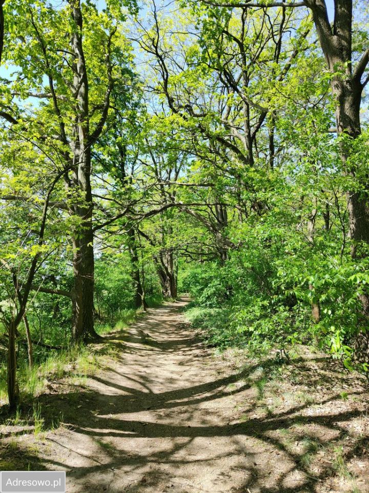 Działka budowlana Przeźmierowo, ul. Południowa. Zdjęcie 5