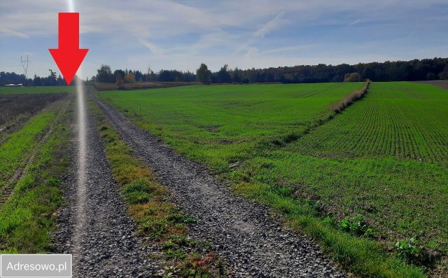 Działka budowlana Żabia Wola. Zdjęcie 1