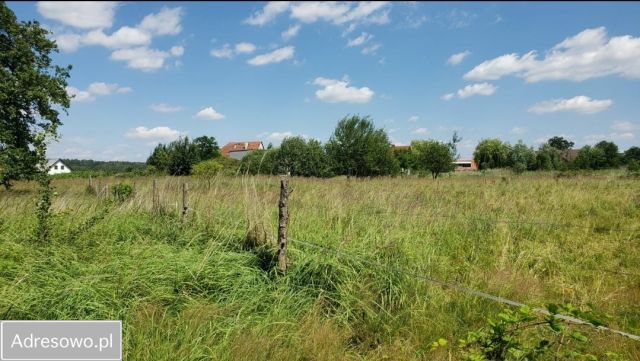 Działka budowlana Grzymalin. Zdjęcie 1