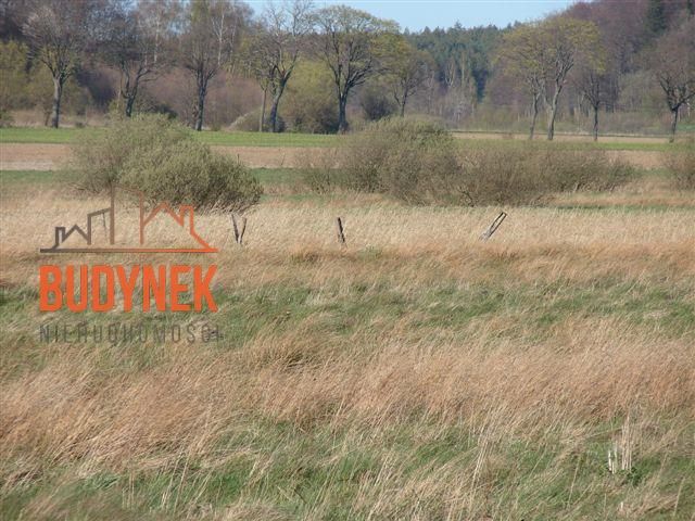 Działka rolna Karsino. Zdjęcie 8