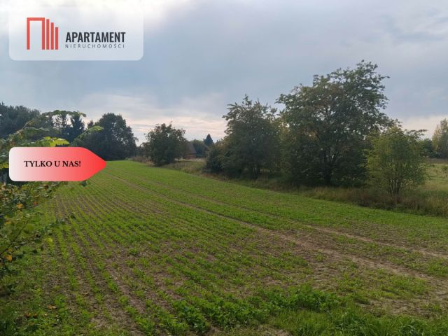 Działka inwestycyjna Brzeg Dolny, ul. Nasypowa. Zdjęcie 5