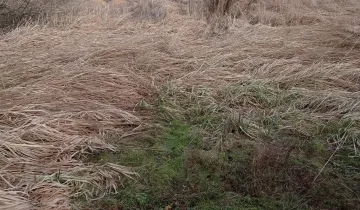Działka na sprzedaż bez pośredników 
 
 ul. Puławska 
 
 Radom Dzierzków - View 5