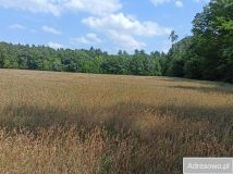 Działka rolna Budno. Zdjęcie 1