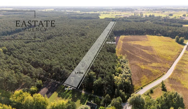 Działka leśna Maurzyce