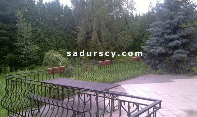 dom wolnostojący, 11 pokoi Piaseczno. Zdjęcie 3