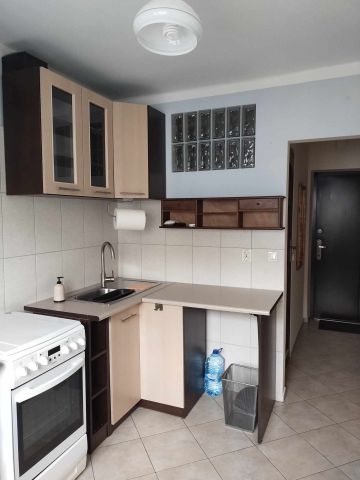 Mieszkanie 1-pokojowe Pabianice Piaski, ul. Wileńska. Zdjęcie 1