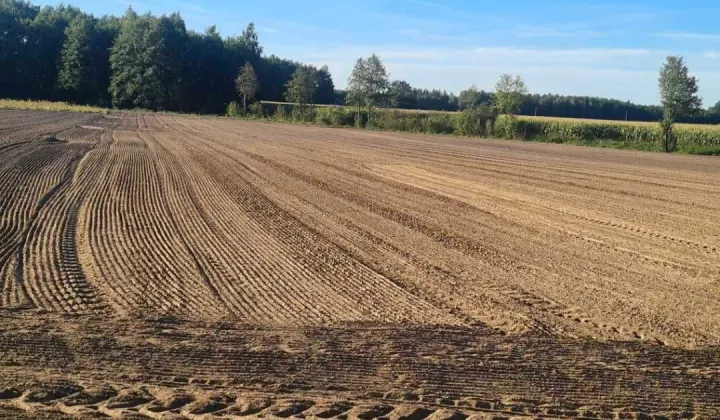 Działka budowlana Okalewo