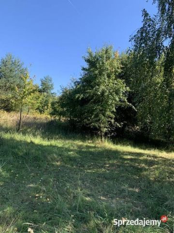 Działka rolno-budowlana Michałów Rudnicki, ul. Sportowa. Zdjęcie 1