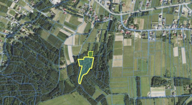 Działka rolna Hyżne. Zdjęcie 3