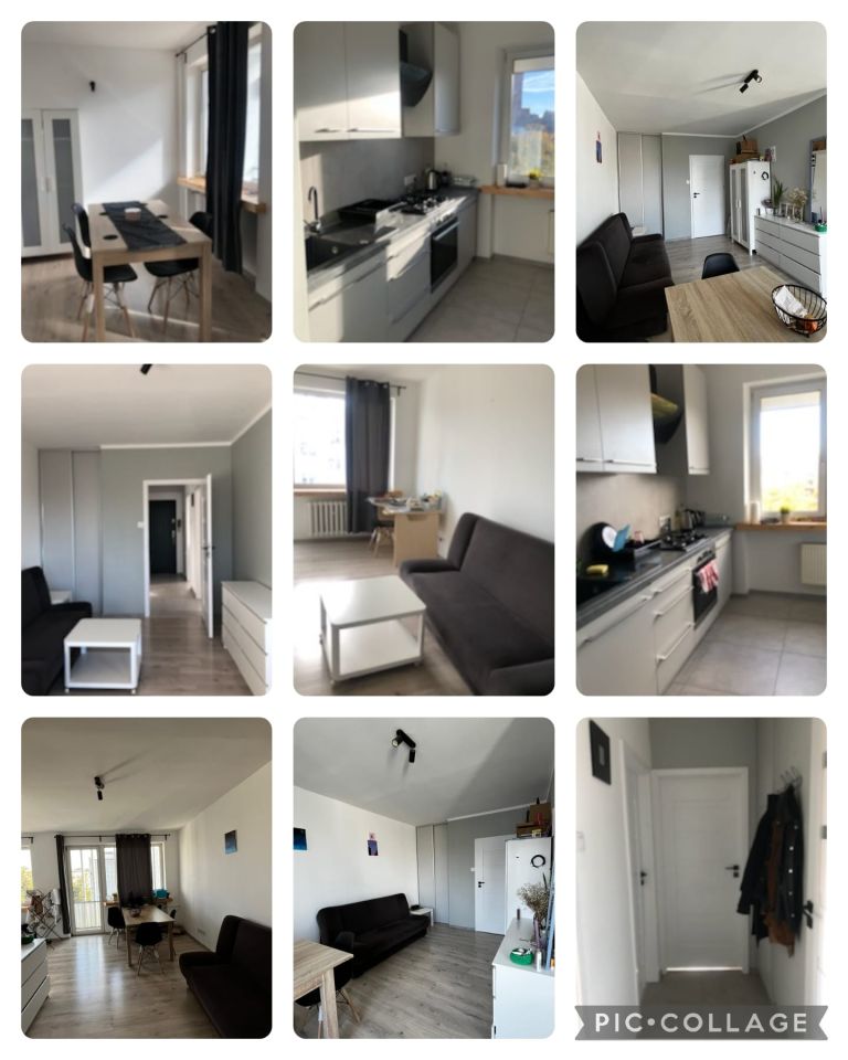 Mieszkanie 2-pokojowe Wrocław Stare Miasto, pl. Legionów. Zdjęcie 3