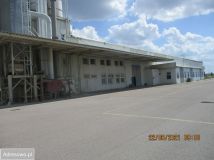 Hala/magazyn Dubowo Drugie. Zdjęcie 2