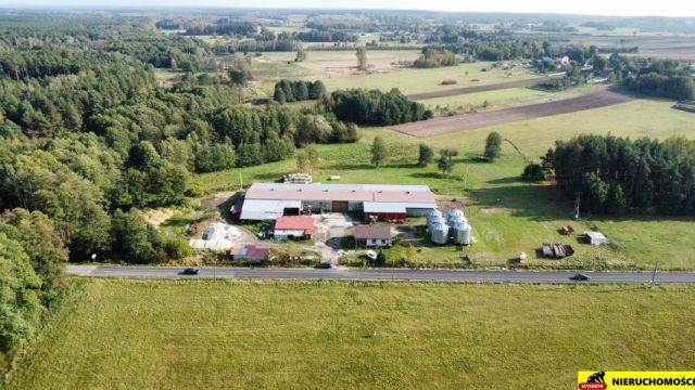 Hala/magazyn Pierzchnianka. Zdjęcie 1