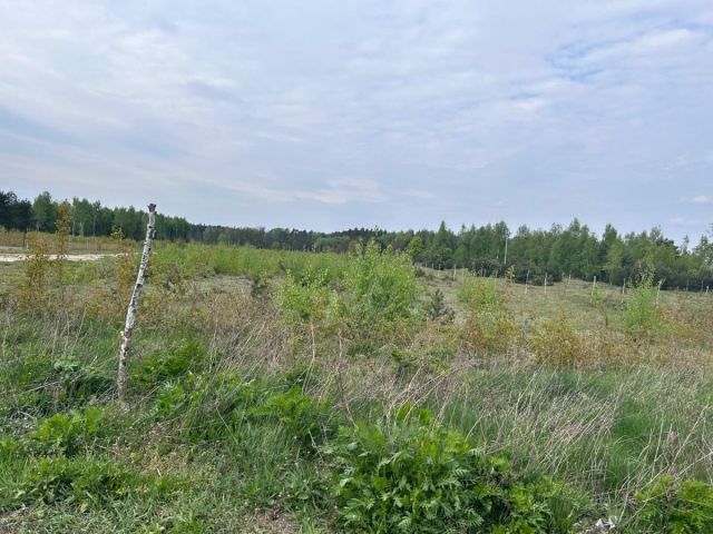 Działka budowlana Mogilno Duże. Zdjęcie 2