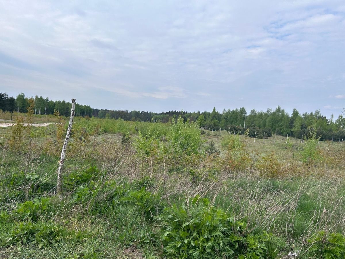 Działka budowlana Mogilno Duże. Zdjęcie 2