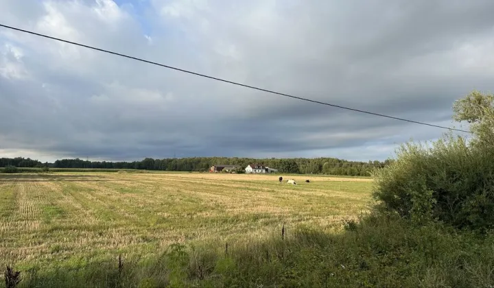 Działka budowlana Trzepowo