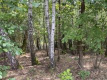 Działka budowlana Majdan Sieniawski. Zdjęcie 2