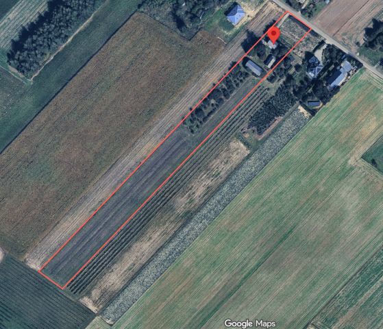 Działka siedliskowa Tomaszowice. Zdjęcie 1