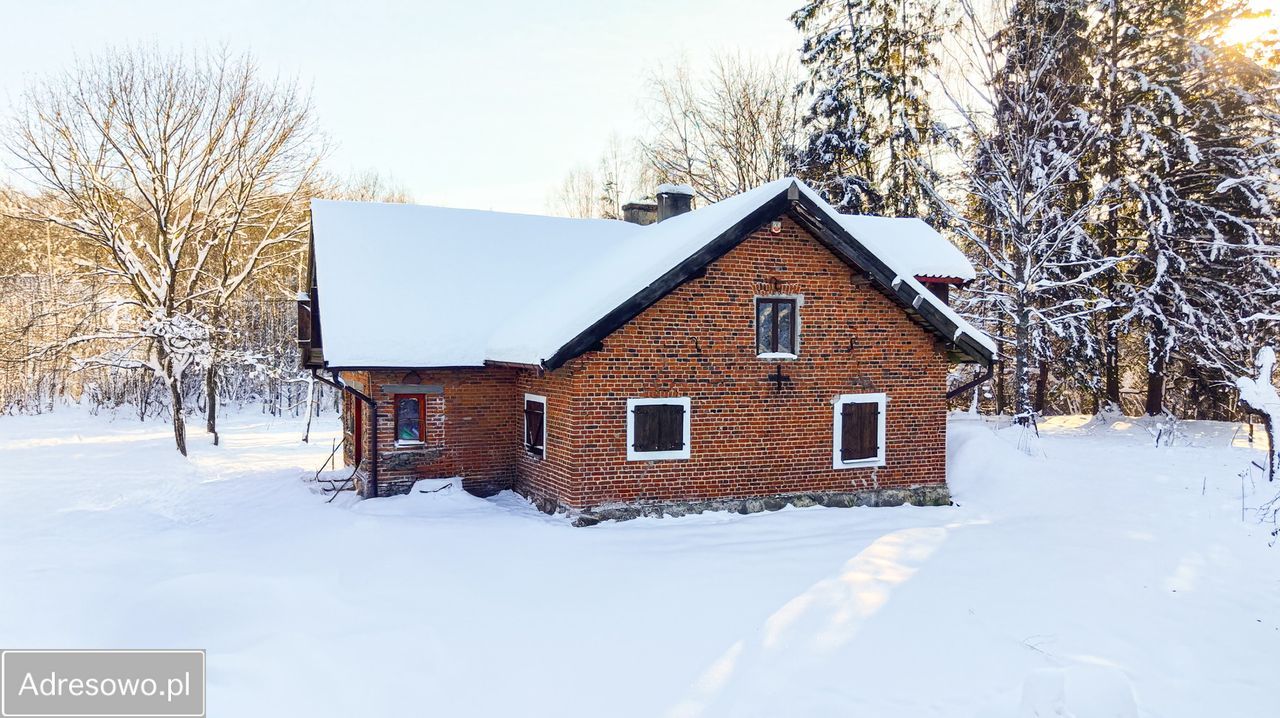 siedlisko, 5 pokoi Nowe Kawkowo. Zdjęcie 14