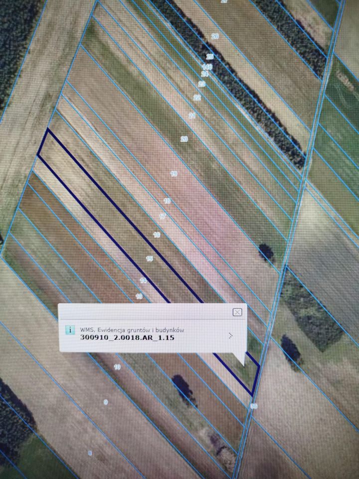 Działka rolna Osiek Mały-Kolonia, .. Zdjęcie 3