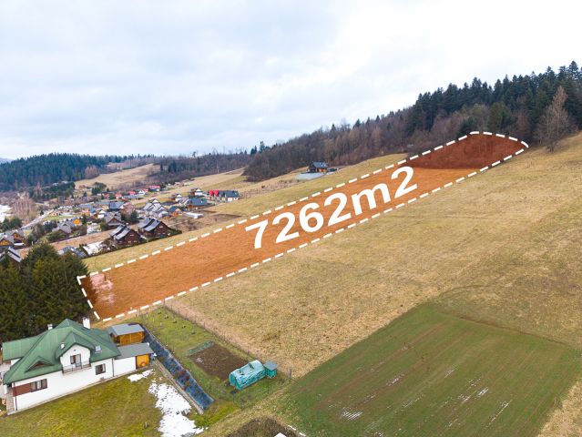 Działka rolno-budowlana Zawóz. Zdjęcie 1