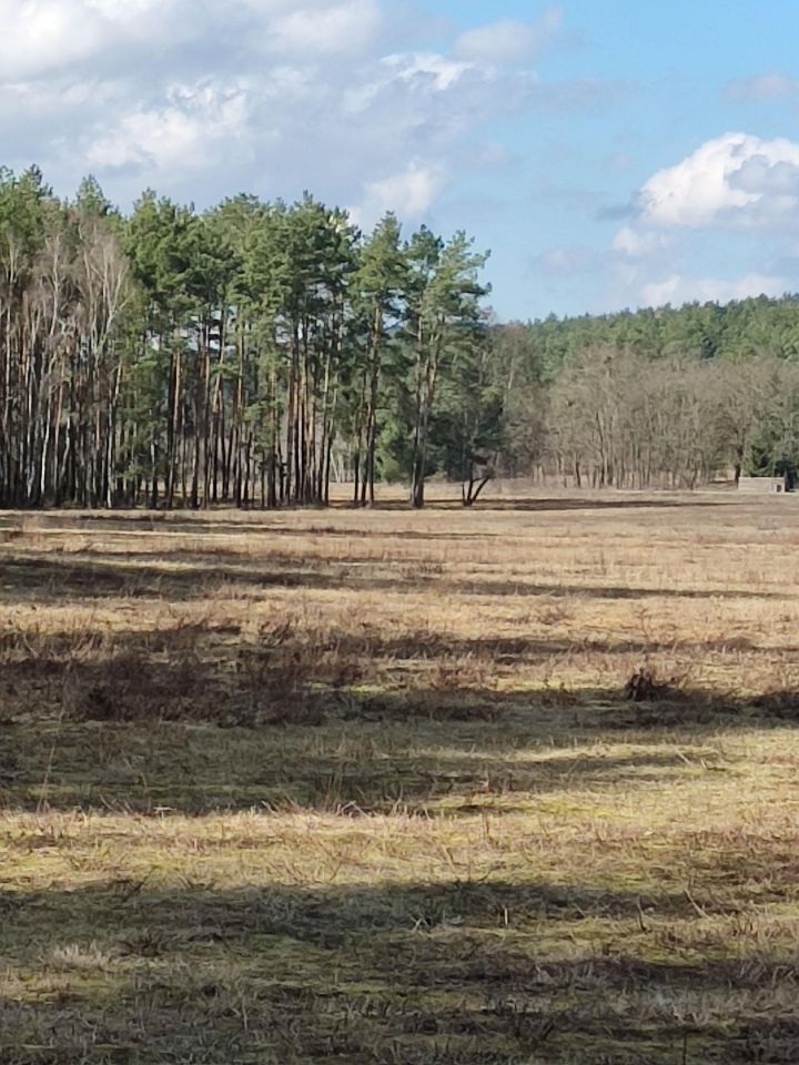 Działka budowlana Sąsieczno Miszek, ul. Adama Mickiewicza. Zdjęcie 10