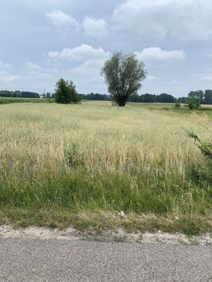 Działka rolno-budowlana Szczawin Borowy-Wieś. Zdjęcie 5