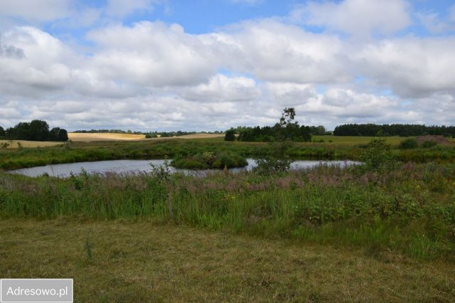 Działka rolna Droglewo. Zdjęcie 1