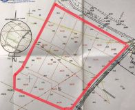 Działka budowlana Racibórz Brzezie, ul. Tulipanowa. Zdjęcie 1