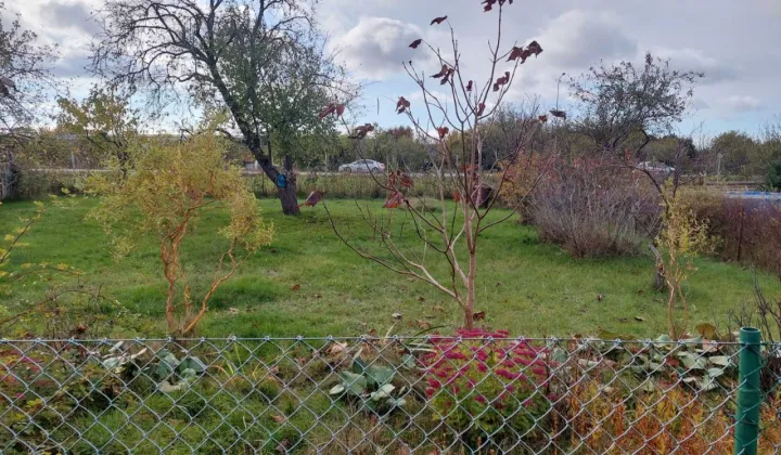 Działka rod Gdańsk Rębiechowo, ul. Nowatorów