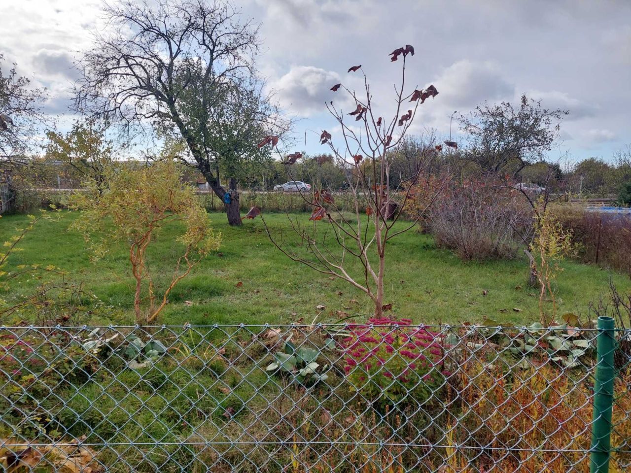 Działka rod Gdańsk Rębiechowo, ul. Nowatorów. Zdjęcie 2