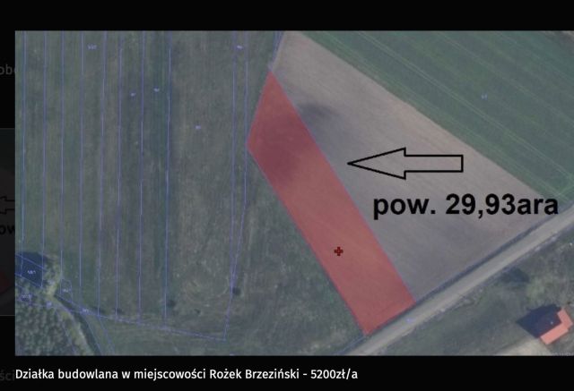 Działka budowlana Rożek Brzeziński. Zdjęcie 1