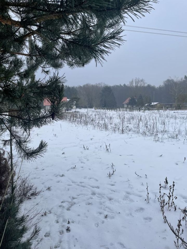 Działka budowlana Biały Bór, ul. Borowikowa. Zdjęcie 2