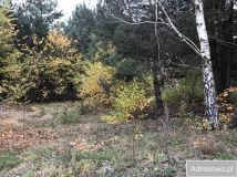 Działka budowlana Wola Uhruska, ul. Zacisze. Zdjęcie 2