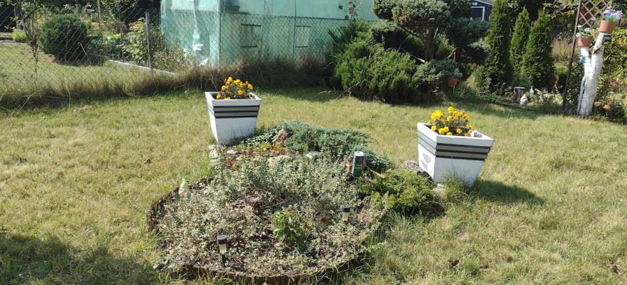 Działka rod Gliwice Ligota Zabrska. Zdjęcie 3