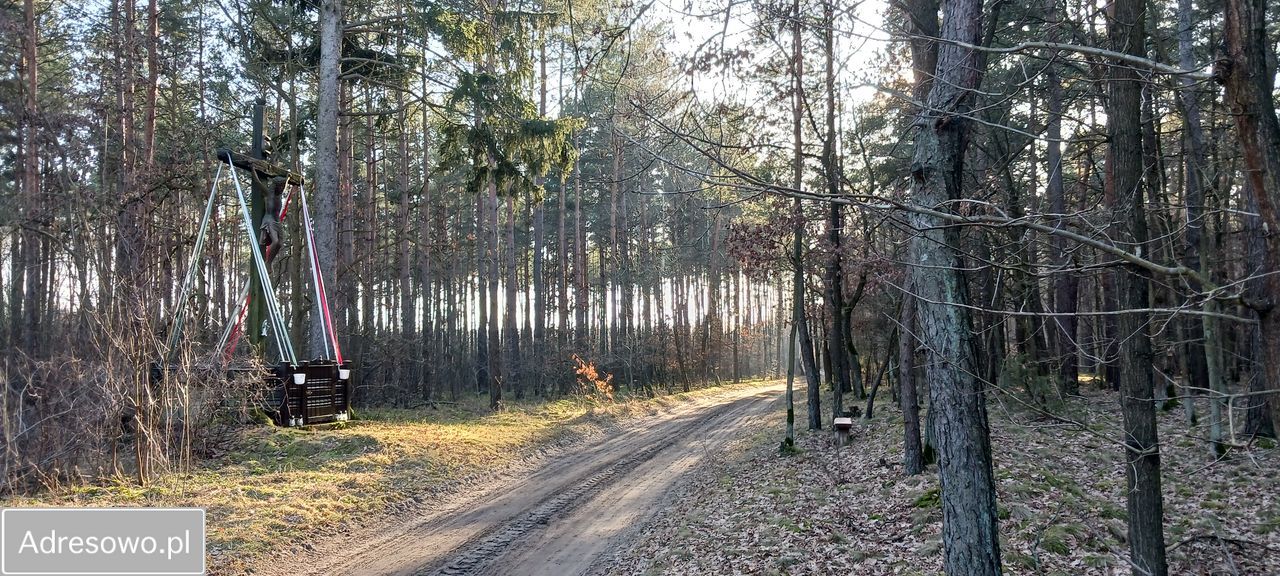 Działka rekreacyjna Łukoszyno-Borki. Zdjęcie 7
