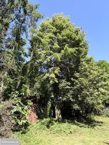 Działka budowlana Magdalenów. Zdjęcie 16