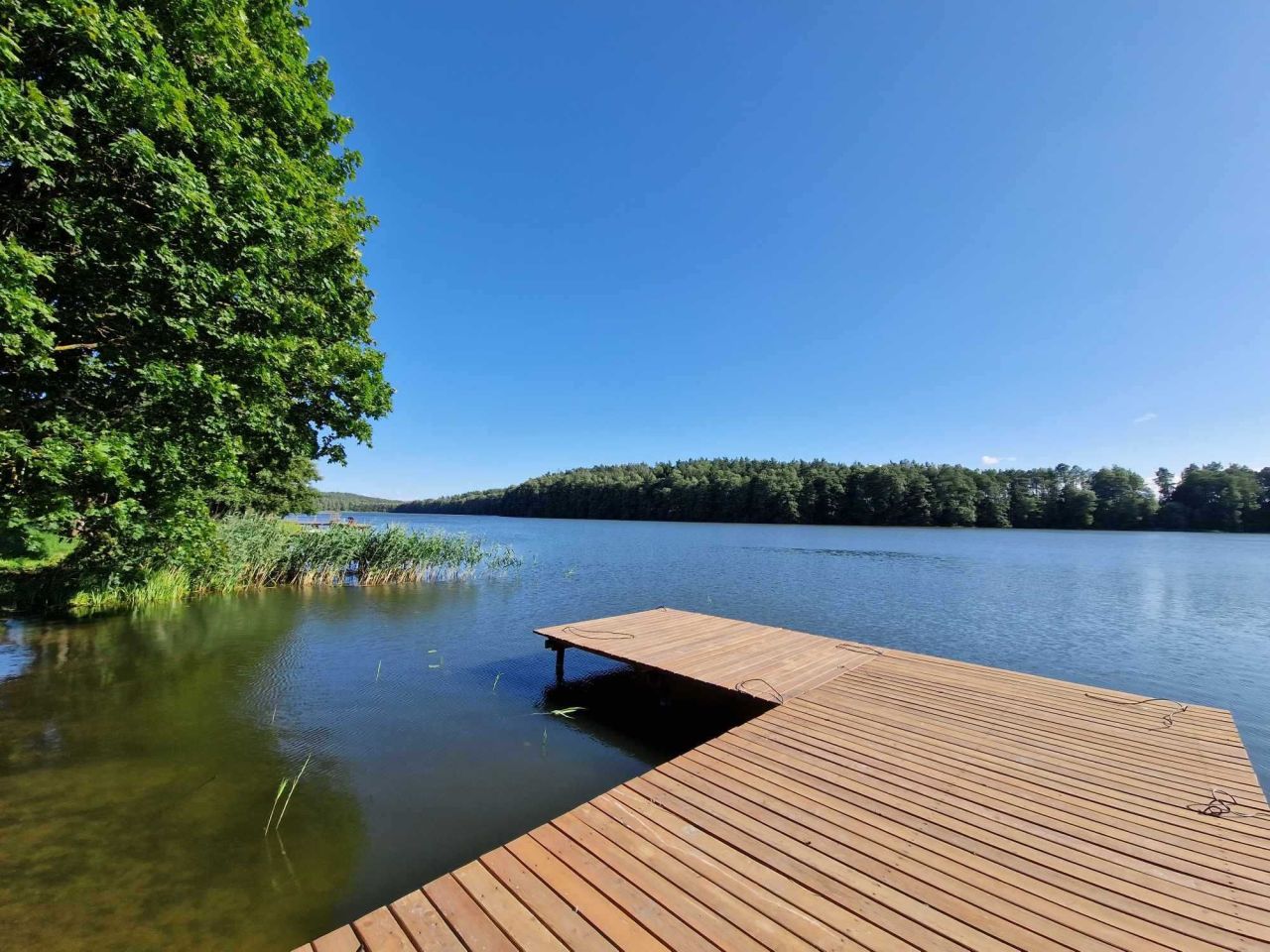 Działka budowlana Lutek. Zdjęcie 2